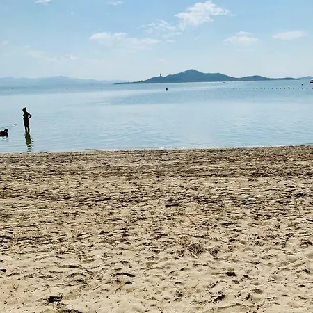 Zen *